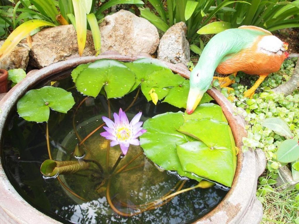 Baan Sala Lung Dam 3*